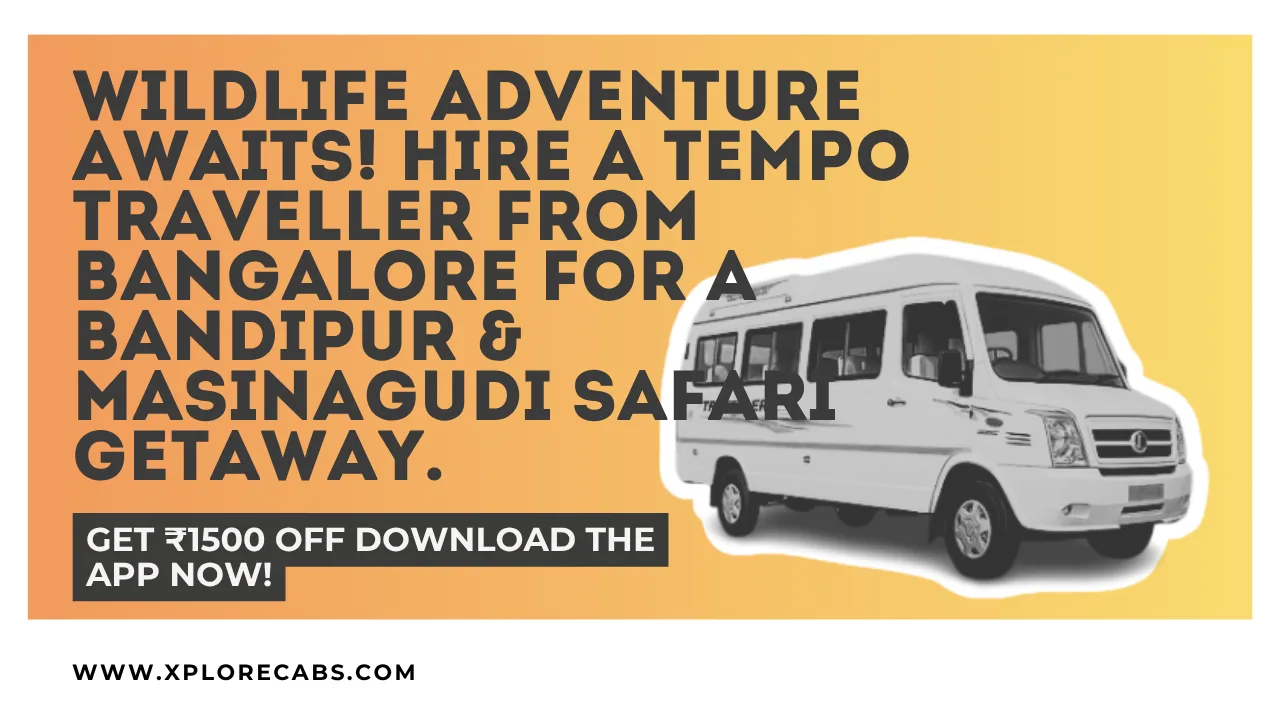 Tempo traveller on the Bandipur forest highway towards Masinagudi on a group safari trip from Bangalore