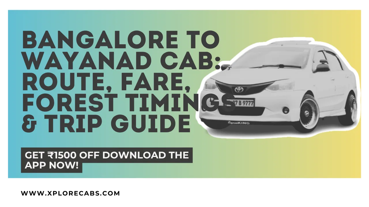 Bangalore to Wayanad cab travel guide featuring route, fare details, forest timings, and trip planning tips.